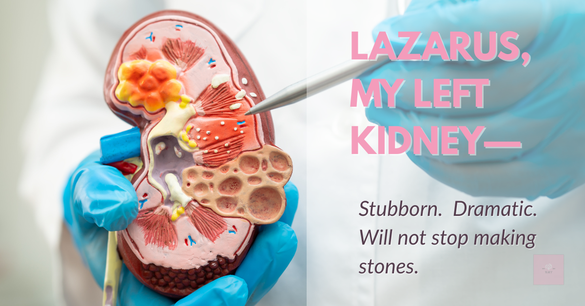 Kidney model held by gloved hands. Text reads: “LAZARUS, MY LEFT KIDNEY—Stubborn. Dramatic. Will not stop making stones.” A dramatic ode to a rebellious organ with a flair for medical chaos.