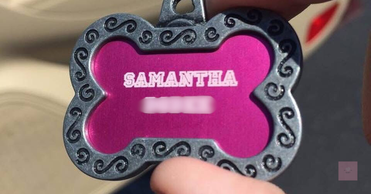 Close up of a silver and magenta bone-shaped dog tag engraved with the name “Samantha”. The tag is held up in sunlight, showing a gentle reflection on its metallic surface.